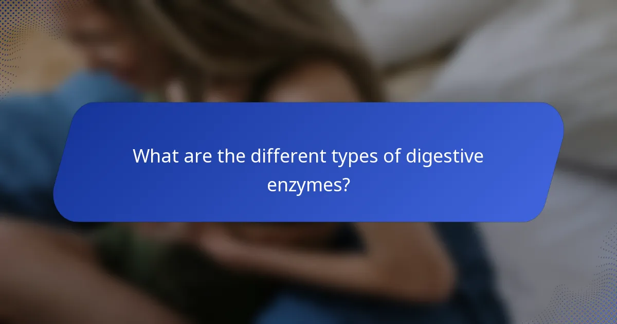 What are the different types of digestive enzymes?